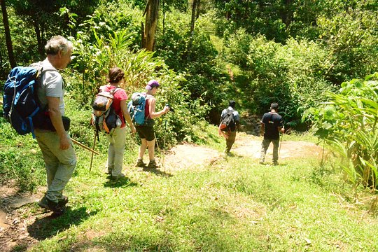 Tour image 7