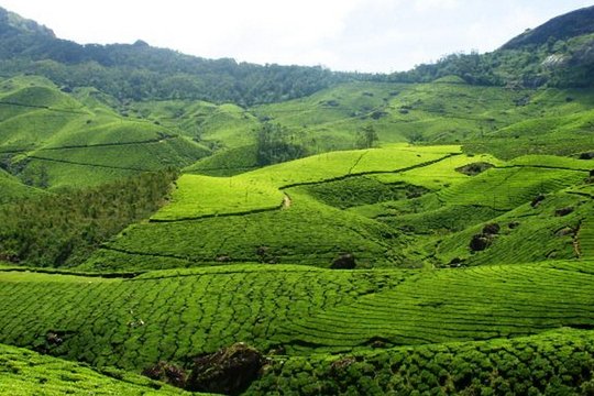 Tour image 9