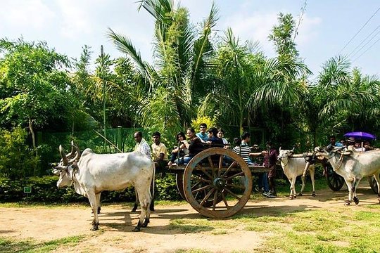 Tour image 8