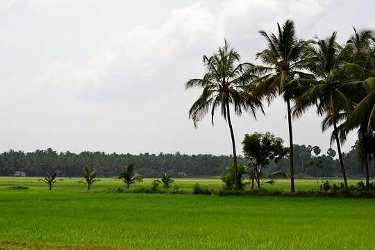 Tour image 7