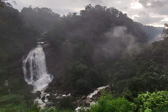 Tour image 5