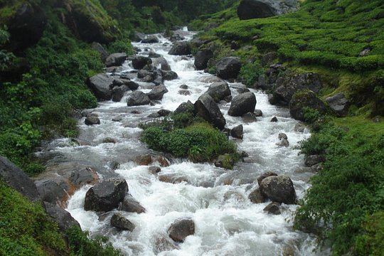 Tour image 7