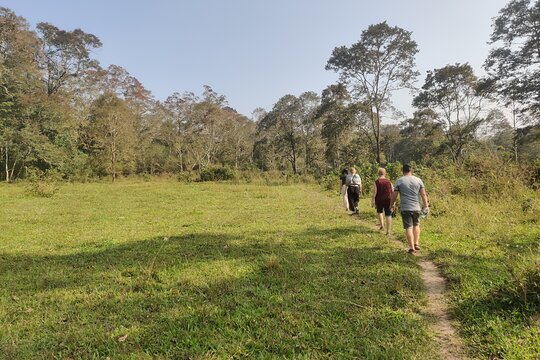 Tour image 11